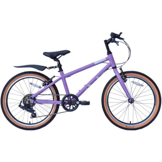 Raleigh Pop 20 Kids Bike - Purple